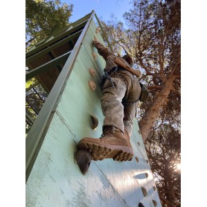 FORTAC II (Consolidación)