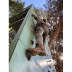 FORTAC II (Consolidación)